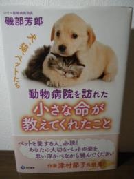 動物病院を訪れた小さな命が教えてくれたこと