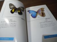 珍虫図譜 : 秘蔵コレクション : 2001