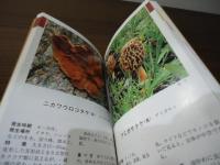 ザ・きのこ : 傘の色で見分ける