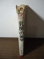 乳房の美学