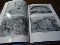 王子ノ台遺跡　第3巻(弥生・古墳時代編) 本文/土器観察表・写真図版