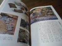 安土城・1999 : 特別史跡安土城跡発掘調査10周年成果展 : 平成11年度秋季特別展