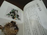 魔よけ百科 : かたちの謎を解く