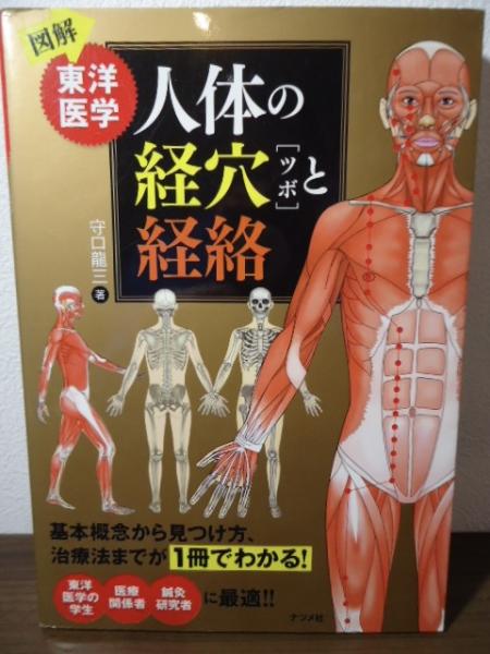 図解 東洋医学 人体の経穴と経絡(守口 龍三【著】) / 古本、中古本、古