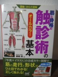 筋と骨格の触診術の基本