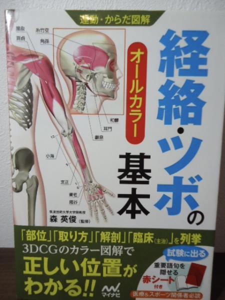 運動・からだ図解 経絡・ツボの基本(森 英俊【監修】) / 古書窟
