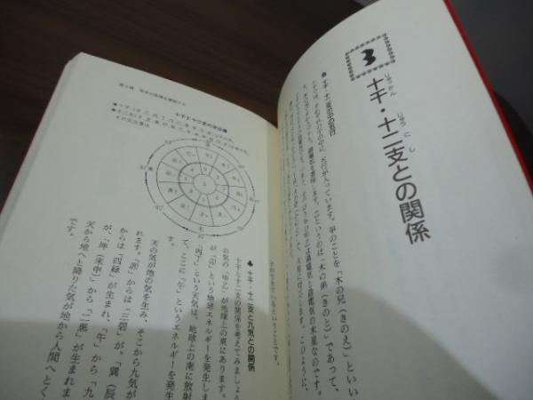 九星術であなたの未来を予測する 九星気学の原理 佐藤公祥 竹井出版