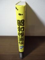 昭和怪盗伝