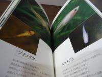 プロ直伝! メダカの飼い方繁殖&交配ガイド