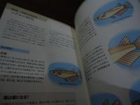 プロ直伝! メダカの飼い方繁殖&交配ガイド