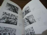 木村茂　銅版画目録 1979-1984