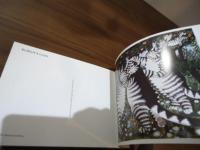 Kliban's Cats: A Book of Postcards 