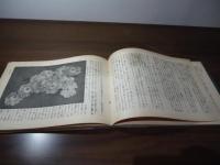 大輪朝顔の作り方