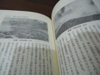 民族よ死に急ぐなかれ