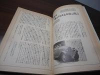 ばっくみらぁ : わが自動車昭和史