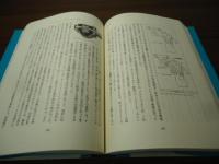 ブルーバード510とあの時代 : 日本が世界に追いついた日