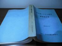 新交通システム開発調査報告書