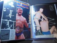[切り抜きファイル]ハーリー・レイス　40p