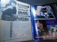 [切り抜きファイル]ハーリー・レイス　40p