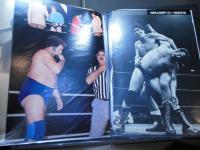 [切り抜きファイル]ハーリー・レイス　40p