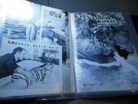 [切り抜きファイル]カトリーヌ・スパーク　40p
