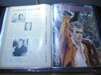 [切り抜きファイル]ジェームス・ディーン　40p