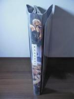 [切り抜きファイル]MADONNA マドンナ　84p