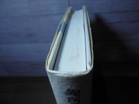 小野組物語 : 異色の近江商人