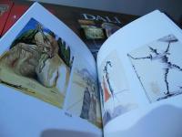 Dalí : 企画展示 : 19-20世紀を生きた21人の画家たち