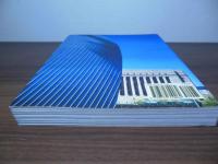 Steven Holl (Universe Architecture Series)