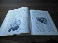 朝顔作りの秘訣