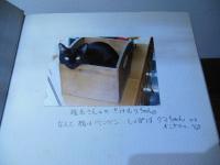 夜猫ホテル