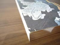 上田秋成 : 怪異雄勁の文学