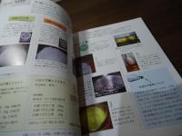 土を使わないはじめての野菜づくり : かんたん!水耕栽培