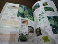 土を使わないはじめての野菜づくり : かんたん!水耕栽培