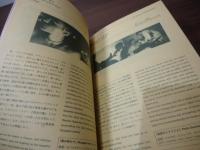 第10回東京国際レズビアン＆ゲイ映画祭　パンフ