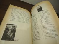 Japanese film 1955-64 : 昭和30年代のヒットシリーズ