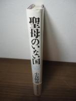 聖母のいない国 : the North American novel