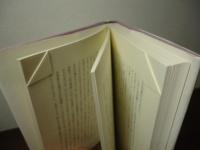 聖母のいない国 : the North American novel
