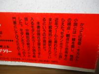 モダンホラー読本 : 恐怖へのご招持