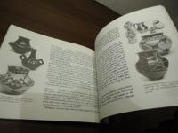 Pueblo Pottery of the New Mexico Indians: Ever Constant, Ever Changing (A Museum of New Mexico Press Guidebook)