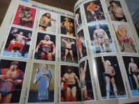 [プロレス] 激動の昭和スポーツ史⑩