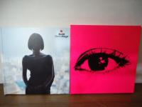 Sheena Ringo Book