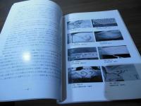 埼玉の近世社寺建築 : 埼玉県近世社寺建築緊急調査報告書