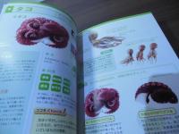 旬を味わう 魚の事典