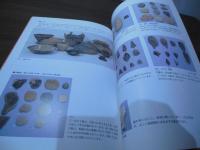 さいたまの縄文時代 : まずは後晩期から : 第18回企画展