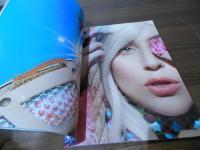 [パンフ] LADY GAGA'S artRAVE  the ARTPOP ball