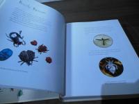 The Stumpwork, Goldwork and Surface Embroidery Beetle Collection (Milner Craft Series)