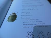 The Stumpwork, Goldwork and Surface Embroidery Beetle Collection (Milner Craft Series)