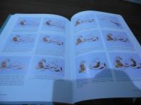 Bead Embroidery Chinese Style (English Edition)
